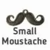 Small Mustached charm